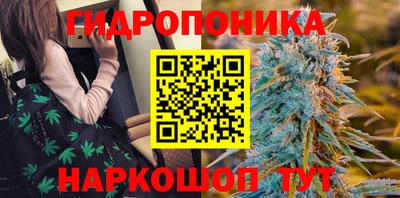 круглые Пушкино