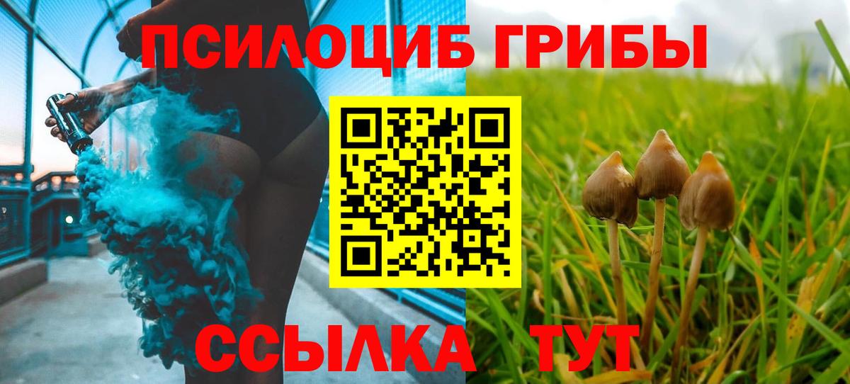 Северск  Псилоцибиновые грибы Cubensis  Галлюциногенные грибы MAGIC MUSHROOMS  купить наркотик  Вход с VPN 