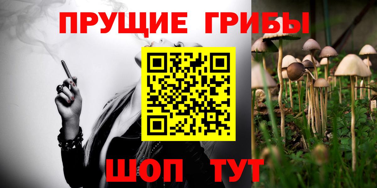 Псилоцибиновые грибы прущие грибы Северск